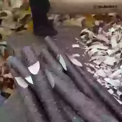 Forest School Tools